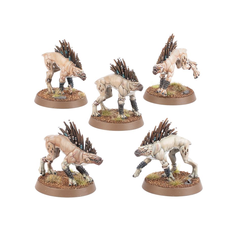 Warhammer 40k: T'au Empire Kroot Hounds