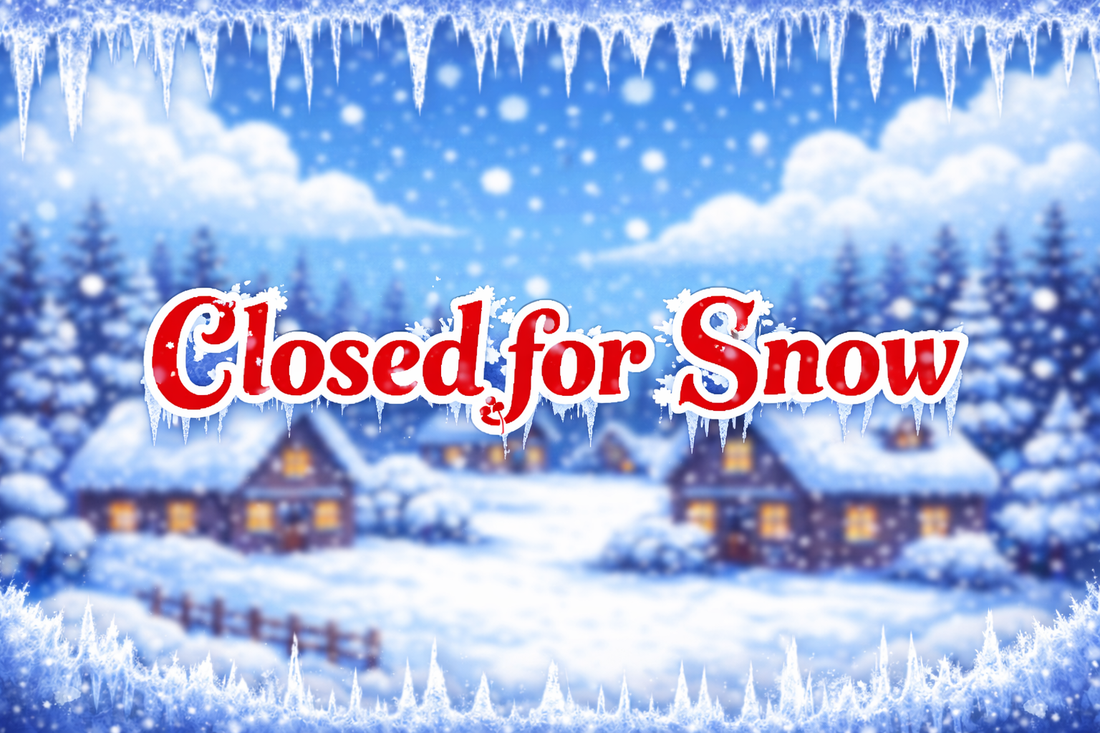 Closed for Snow