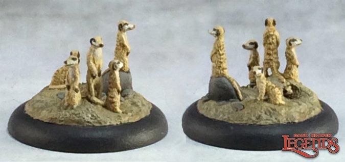 Meerkat Familiars