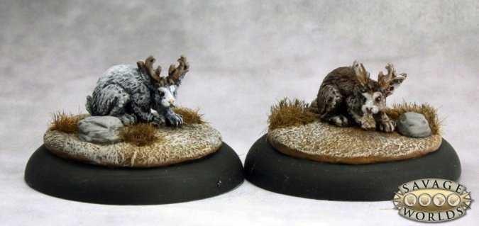 Jackalopes (2)