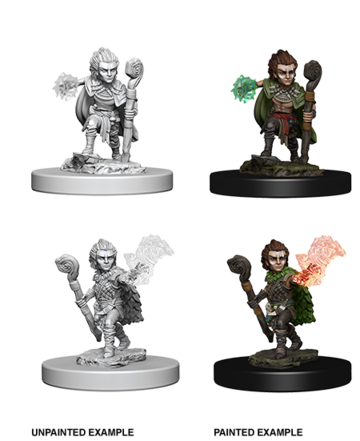 Pathfinder BattlesTM Deep CutsTM Unpainted Miniatures: Gnome Male Druid