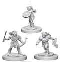 D&D Nolzur’s Marvelous Miniatures: Goblins