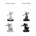 D&D Nolzur's Marvelous Miniatures – Wraith & Specter
