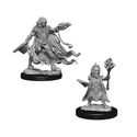 Pathfinder Deep Cuts Unpainted Miniatures - Evil Wizards