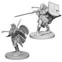 Pathfinder Deep CutsTM Unpainted Miniatures: Human Female Paladin
