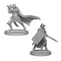 Pathfinder Deep Cuts Unpainted Miniatures - Elf Male Paladin