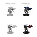 Pathfinder BattlesTM Deep CutsTM Unpainted Miniatures: Elf Female Paladin