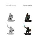 D&D Nolzur's Marvelous Miniatures - Dwarf Female Paladin