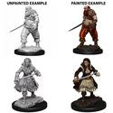 WizKids Deep Cuts Unpainted Miniatures: Pirates