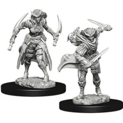 D&D® Nolzur's Marvelous Miniatures: Tiefling Female Rogue
