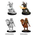 D&D® Nolzur's Marvelous Miniatures: Male Human Druid