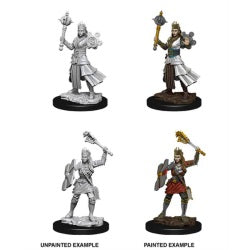 D&D® Nolzur's Marvelous Miniatures - Female Human Cleric