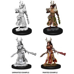 D&D® Nolzur's Marvelous Miniatures -  Female Human Druid