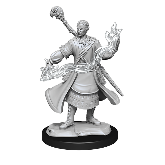 D&D Nolzur's Marvelous Miniatures: Half-Elf Wizard Male