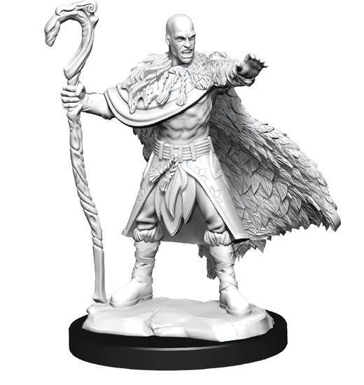 D&D Nolzur's Marvelous Miniatures: Human Druid Male