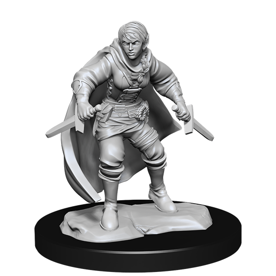 D&D Nolzur's Marvelous Miniatures: Half-Elf Rogue  Female